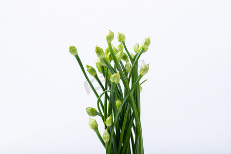 绿色蔬菜韭菜花果蔬食材摄影图配图