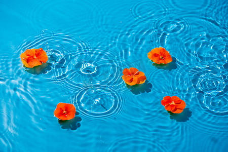 水中漂浮的花朵白天水中漂浮的花朵室外花朵摄影图配图