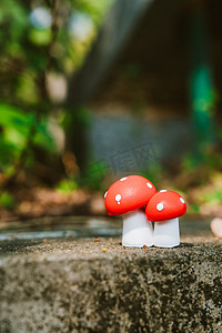 春季景色摄影照片_春天植物绿植蘑菇景色摄影图配图
