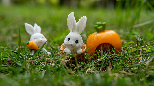 兔子白天小白兔公园复活节摄影图配图