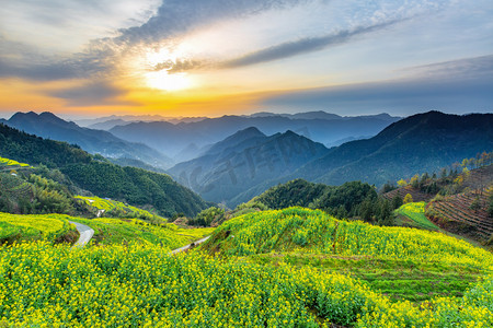 霞光早上油菜花山地无摄影图配图