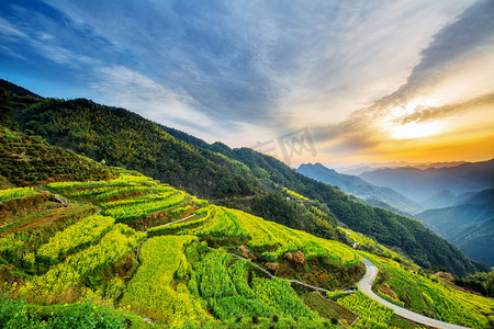 梯田白天油菜花山地无摄影图配图