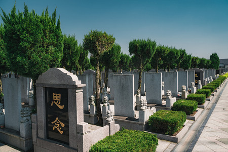 清明节不返乡摄影照片_陵园陵墓清明祭拜扫墓摄影图配图