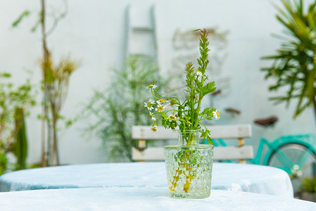 植物花瓶摄影照片_花瓶下午花瓶室外休息摄影图配图