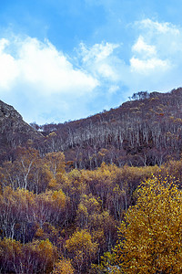 户外运动素材摄影照片_秋色山峦上午植被秋季素材摄影图配图