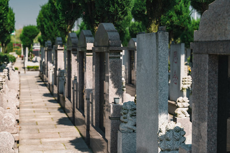 烈士清明摄影照片_墓碑清明扫墓墓地祭拜摄影图配图