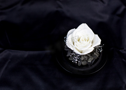 黑色背景摄影照片_清明节晚上白玫瑰桌面平放摄影图配图