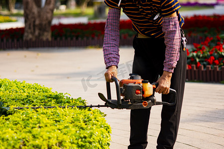 白天户外一个工人在公园里裁剪树叶摄影图配图