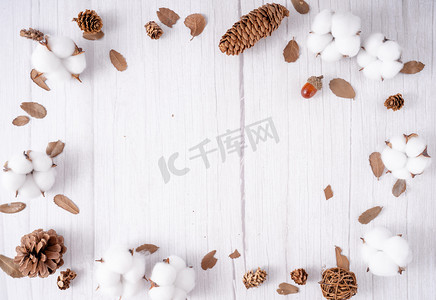 新疆棉花纯棉纺织原料摄影图配图