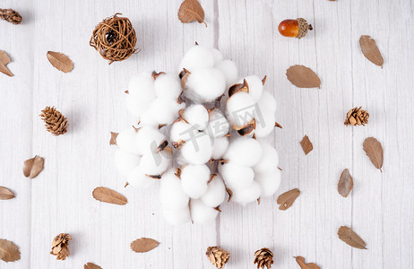 图羽毛鸟花纹质感纹理摄影图配图棉花制品棉花棉制品摄影室俯拍摄影