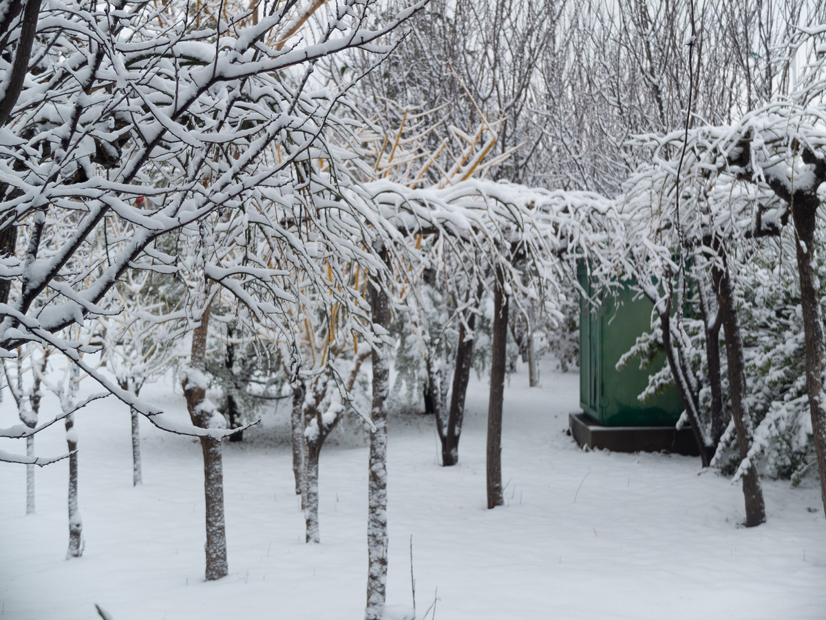 冬日下雪后的城市景色高清摄影大图 千库网