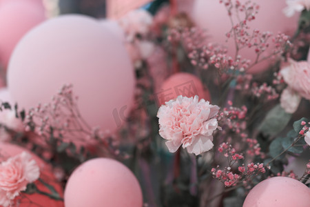 情人节庆祝摄影照片_鲜花气球装饰