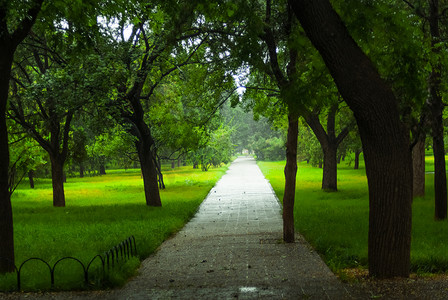 雨后城市摄影照片_北京天坛