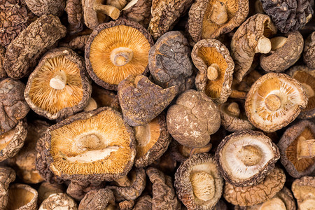 蘑菇水墨摄影照片_食材干榛蘑蘑菇