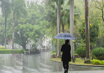 春天下雨打伞游客背影