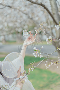 樱花摄影照片_古风少女春季樱花汉服摄影图配图