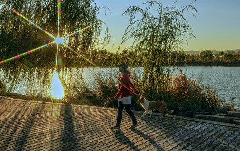 宠物背景狗摄影照片_湖边漫步傍晚女人与狗秋季素材摄影图配图