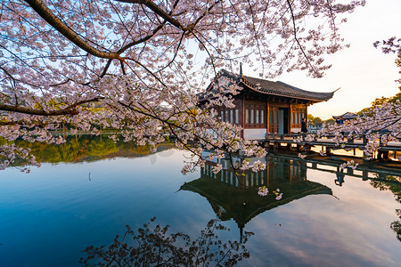 雨天杭州摄影照片_日出樱花湖边西湖摄影图配图