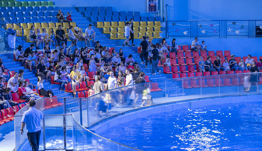 水族馆内看杂耍的人群下午观众水族馆无摄影图配图