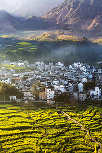 山地早晨油菜花山区无摄影图配图