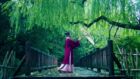 人文风景摄影照片_汉服姑娘在柳树下跳舞 