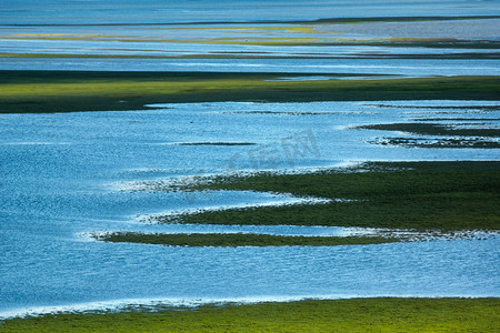 湿地材质摄影照片_开都河湿地夏季河流湿地风光摄影图配图