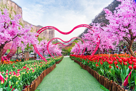 叶子花朵摄影照片_心形花海白天郁金香花海户外景区花朵摄影图配图