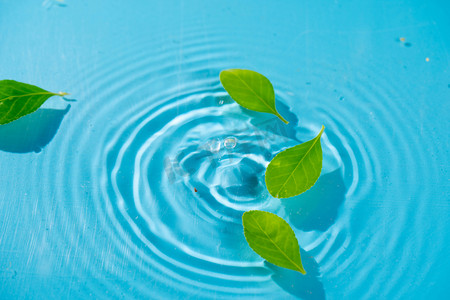 植物漂浮元素摄影照片_水面上漂浮的绿叶白天水旋涡室外漂浮摄影图配图