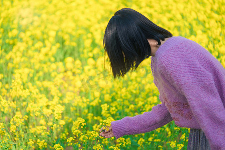 油菜花少女白天采花人物农田户外赏花摄影图配图