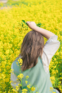 油菜花少女早上油菜花地人物农田赏花摄影图配图