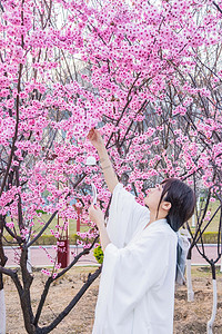 古风美女桃花园春季赏花摄影图配图