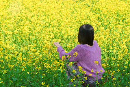 油菜花少女白天油菜花地人物户外农田赏花摄影图配图