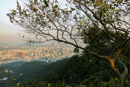 广州塔摄影照片_城市下午城区山顶远瞰摄影图配图