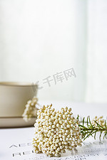 小米花摄影图片 小米花摄影作品 千库网