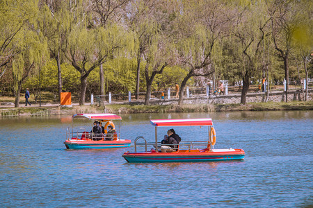 十二节气春游摄影照片_春游划船春天白天公园里划船的人公园湖面划船摄影图配图