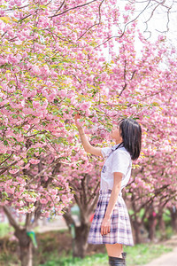 高清花素材摄影照片_樱花人像早上少女公园采花摄影图配图