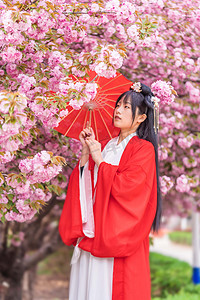 樱花素材摄影照片_樱花人像白天古装美女户外赏花摄影图配图