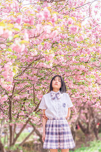 樱花人像白天美少女公园树下赏花摄影图配图