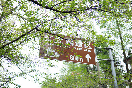 南京地标春天玄武湖景区户外游玩摄影图配图