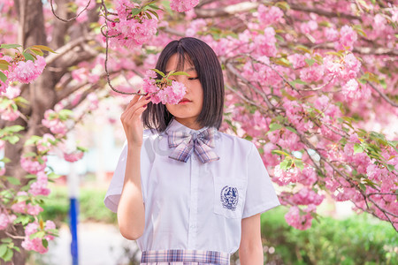 樱花摄影照片_樱花人像白天中午美女户外公园赏花摄影图配图