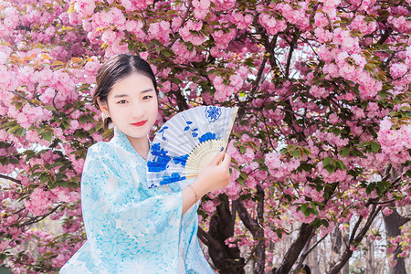 日系和服樱花少女白天少女折扇樱花园赏花摄影图配图