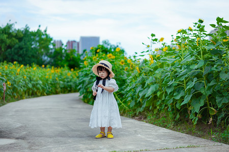 儿童孩子向日葵地小女孩下午女孩户外花海向日葵正面玩耍摄影图配图