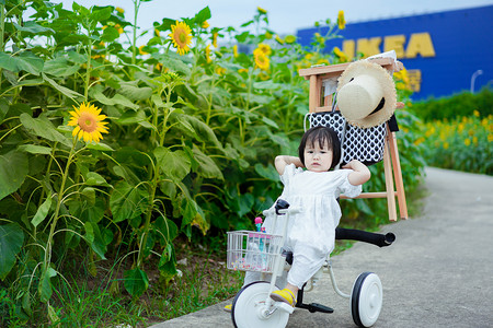 sunflower摄影照片_儿童孩子骑单车的女孩傍晚女孩向日葵花海正面摄影图配图