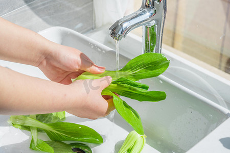 边框小清新卡通摄影照片_洗菜白天水洗小油菜家里洗菜摄影图配图