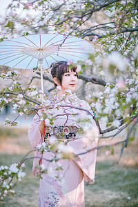 和服少女摄影照片_日系文艺人像白天和服少女户外海棠花树下打伞回头摄影图配图美女