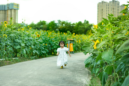 sunflower摄影照片_儿童孩子向日葵女孩傍晚女孩向日葵花海正面奔跑摄影图配图