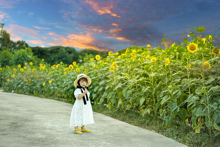 儿童孩子向日葵小女孩傍晚夕阳两岁女孩向日葵花海吃棒棒糖摄影图配图