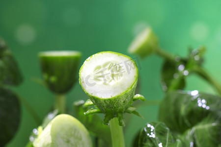 夏季夏天立夏蔬菜有机蔬菜摄影图配图