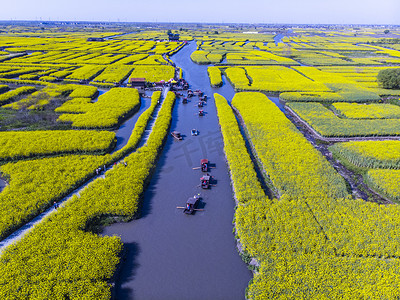 河道摄影照片_田园晴空油菜花田野河道划船摄影图配图