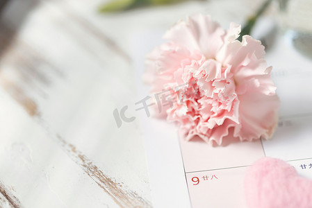 康乃馨母亲节花朵静物创意摄影图配图